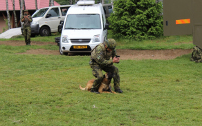 BZ ZŠ